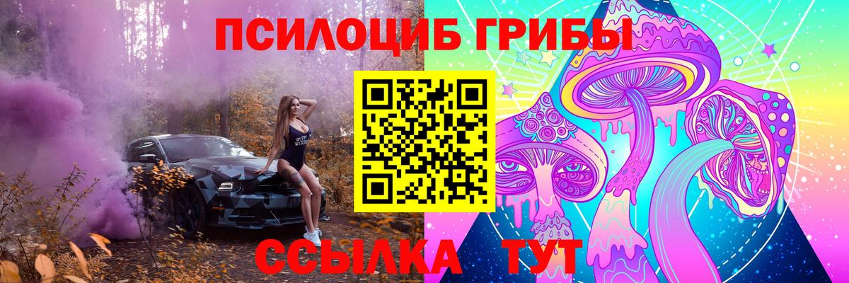 Галлюциногенные грибы Psilocybine cubensis  где можно купить   Сызрань  Вход с VPN 